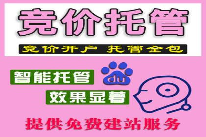 百度推广成本分析：成功案例揭秘